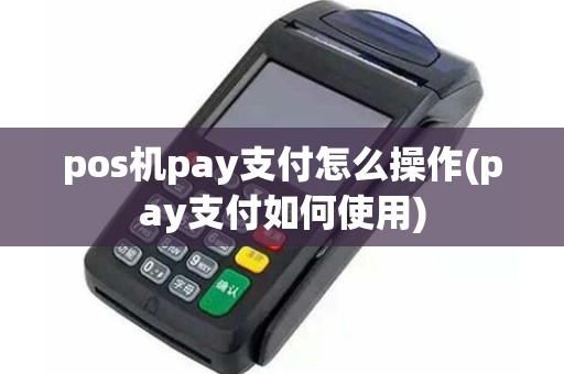 pos机pay支付怎么操作(pay支付如何使用)