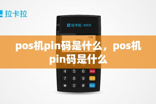 pos机pin码是什么，pos机pin码是什么