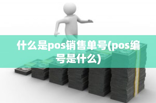 什么是pos销售单号(pos编号是什么)