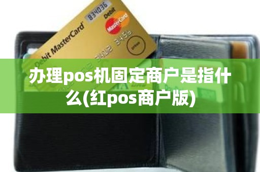 办理pos机固定商户是指什么(红pos商户版)