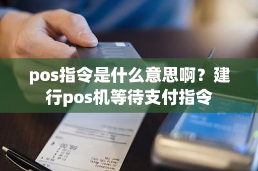 pos指令是什么意思啊？建行pos机等待支付指令