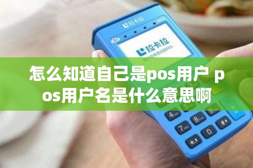 怎么知道自己是pos用户 pos用户名是什么意思啊