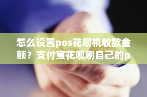 怎么设置pos花呗机收款金额？支付宝花呗刷自己的pos机