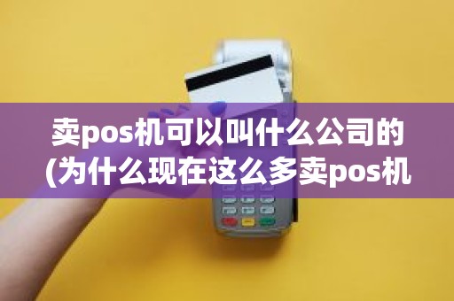 卖pos机可以叫什么公司的(为什么现在这么多卖pos机的公司)