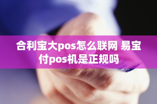 合利宝大pos怎么联网 易宝付pos机是正规吗