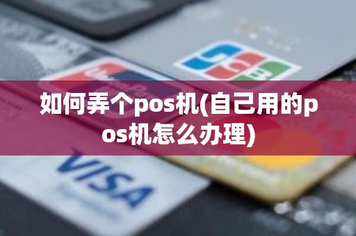 如何弄个pos机(自己用的pos机怎么办理)