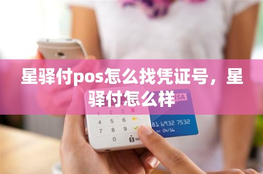 星驿付pos怎么找凭证号，星驿付怎么样