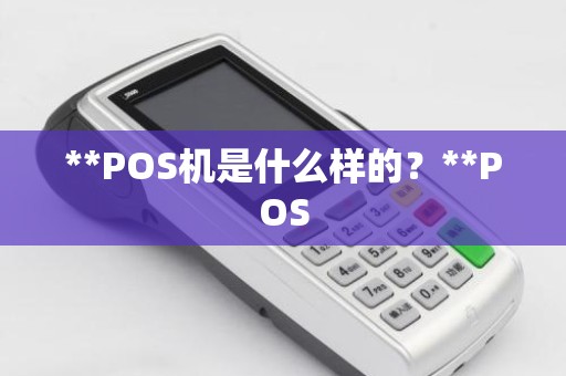 **POS机是什么样的？**POS