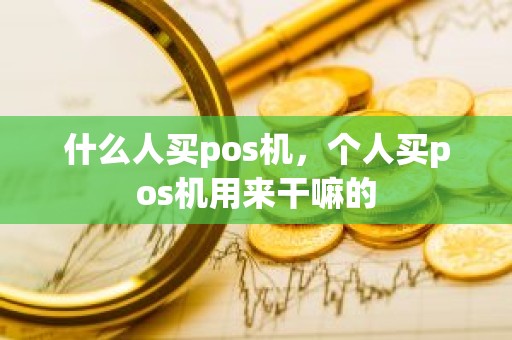 什么人买pos机,个人买pos机用来干嘛的 什么人买pos机,个人买pos机用来干嘛的