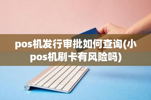 pos机发行审批如何查询(小pos机刷卡有风险吗)