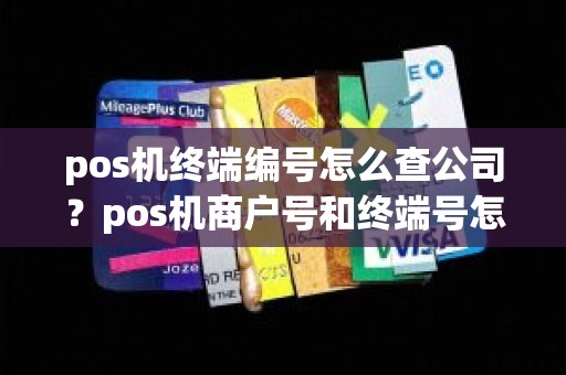 pos机终端编号怎么查公司？pos机商户号和终端号怎么查询