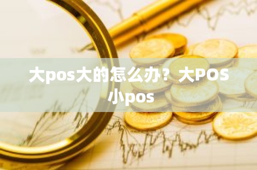 大pos大的怎么办？大POS 小pos