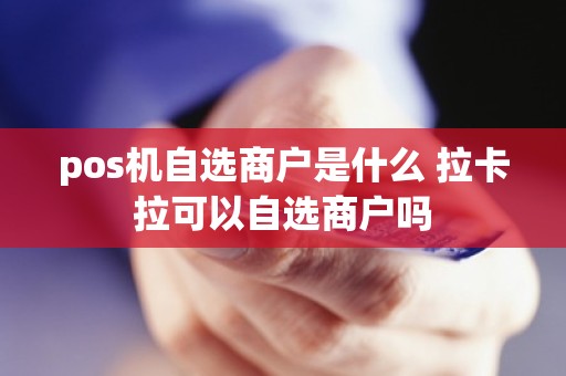 pos机自选商户是什么 拉卡拉可以自选商户吗