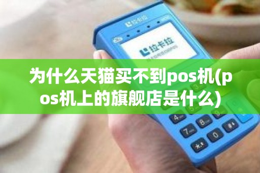 为什么天猫买不到pos机(pos机上的旗舰店是什么)