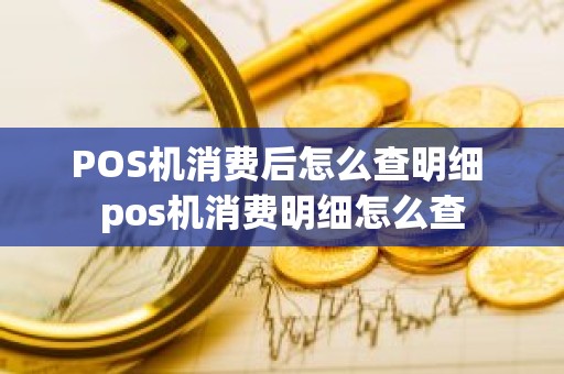 POS机消费后怎么查明细 pos机消费明细怎么查