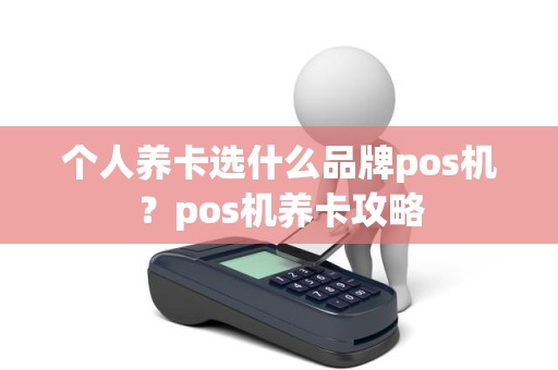 个人养卡选什么品牌pos机？pos机养卡攻略