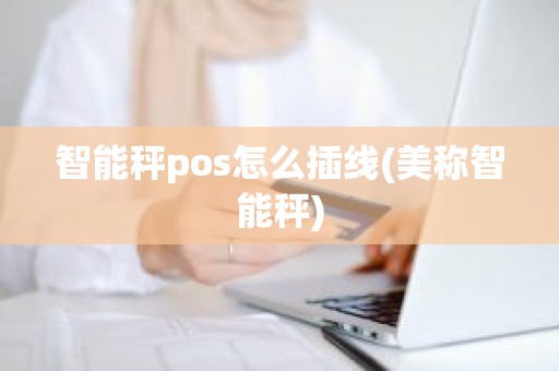智能秤pos怎么插线(美称智能秤)