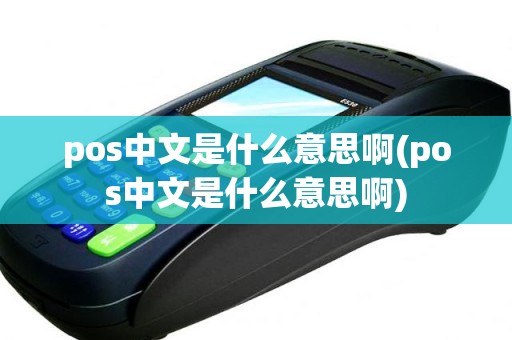 pos中文是什么意思啊(pos中文是什么意思啊)