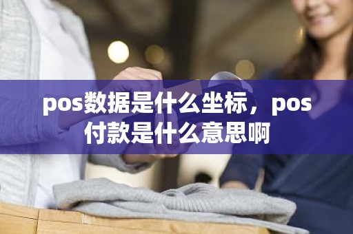 pos数据是什么坐标，pos付款是什么意思啊