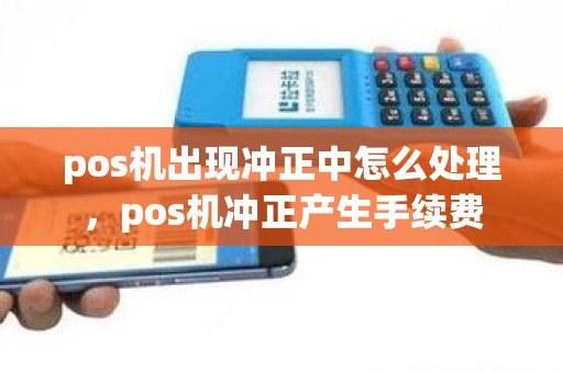 pos机出现冲正中怎么处理，pos机冲正产生手续费