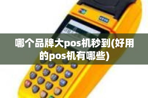 哪个品牌大pos机秒到(好用的pos机有哪些)