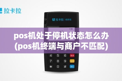 pos机处于停机状态怎么办(pos机终端与商户不匹配)
