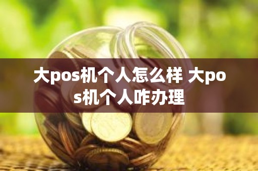 大pos机个人怎么样 大pos机个人咋办理