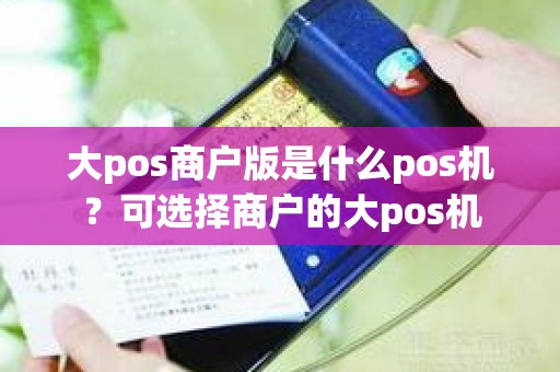 大pos商户版是什么pos机？可选择商户的大pos机