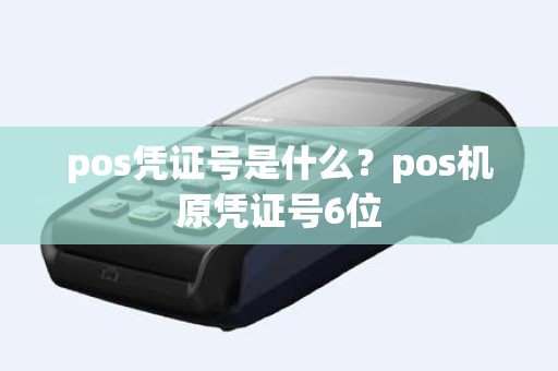 pos凭证号是什么？pos机原凭证号6位