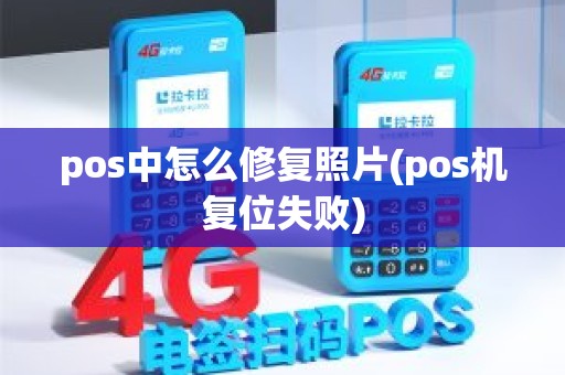 pos中怎么修复照片(pos机复位失败)