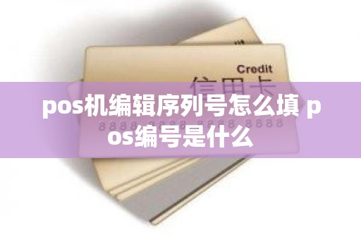 pos机编辑序列号怎么填 pos编号是什么