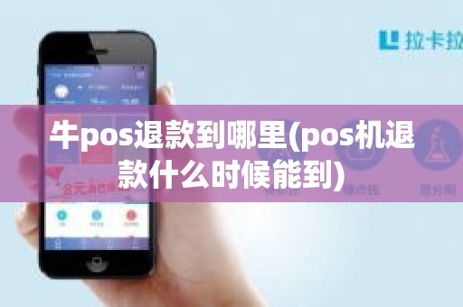 牛pos退款到哪里(pos机退款什么时候能到)