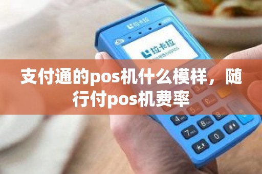 支付通的pos机什么模样，随行付pos机费率