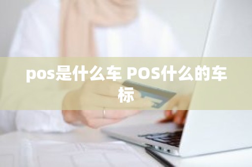 pos是什么车 POS什么的车标