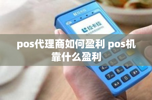 pos代理商如何盈利 pos机靠什么盈利
