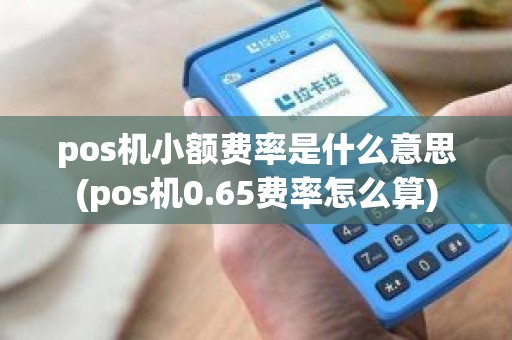 pos机小额费率是什么意思(pos机0.65费率怎么算)