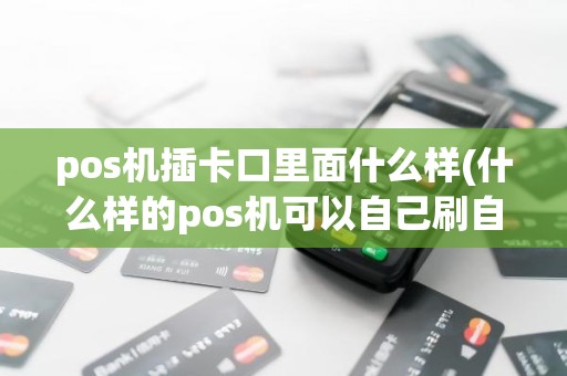 pos机插卡口里面什么样(什么样的pos机可以自己刷自己)