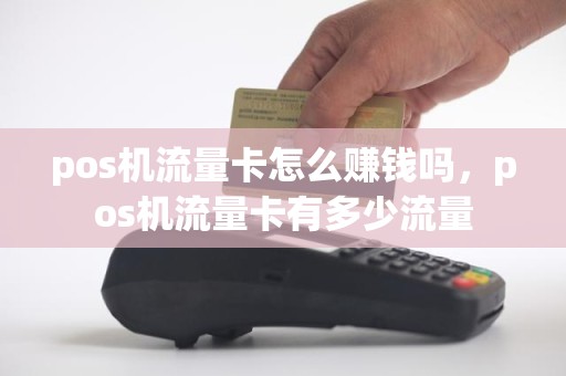 pos机流量卡怎么赚钱吗，pos机流量卡有多少流量