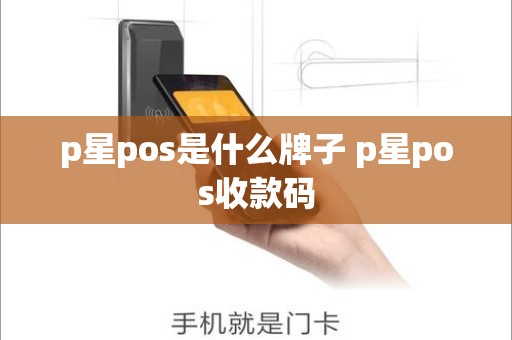 p星pos是什么牌子 p星pos收款码