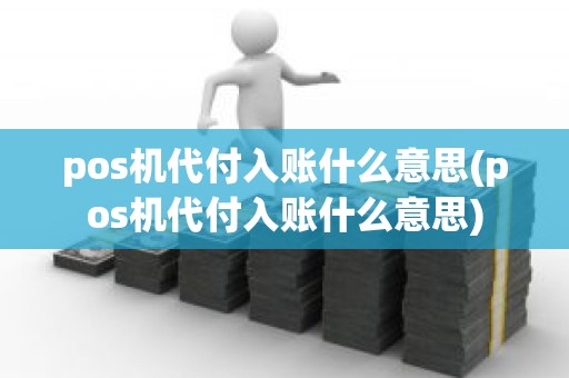 pos机代付入账什么意思(pos机代付入账什么意思)