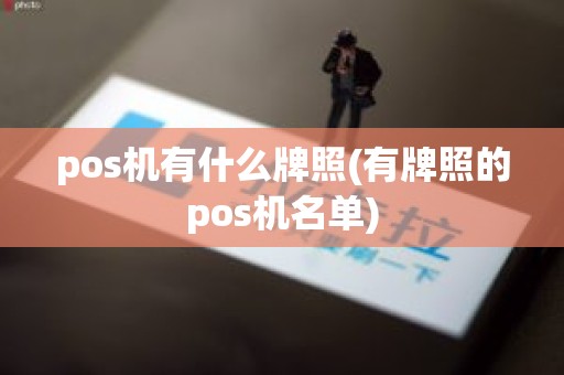 pos机有什么牌照(有牌照的pos机名单)