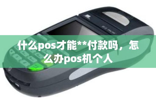 什么pos才能**付款吗，怎么办pos机个人
