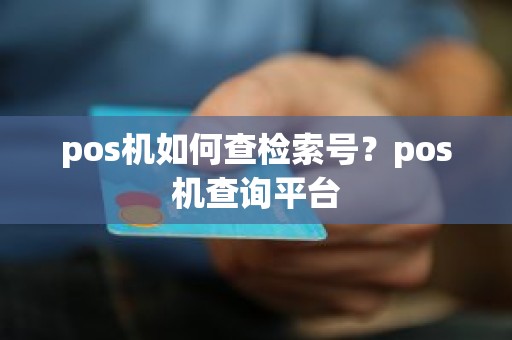 pos机如何查检索号？pos机查询平台