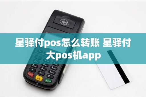 星驿付pos怎么转账 星驿付大pos机app