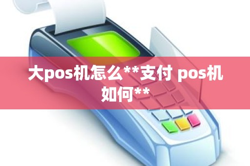 大pos机怎么**支付 pos机如何** 大pos机怎么**支付 pos机如何**