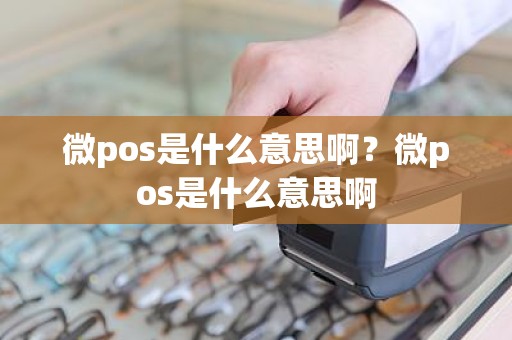 微pos是什么意思啊？微pos是什么意思啊