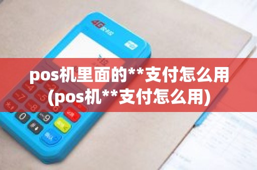pos机里面的**支付怎么用(pos机**支付怎么用)