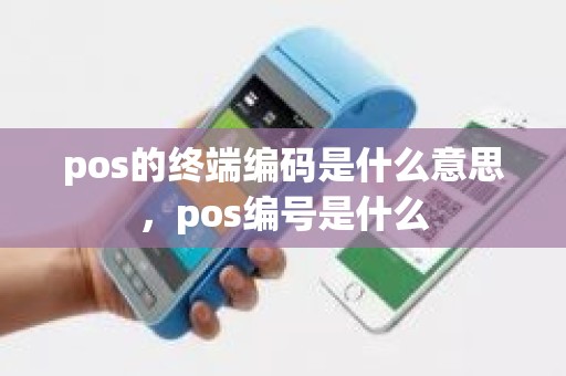 pos的终端编码是什么意思，pos编号是什么