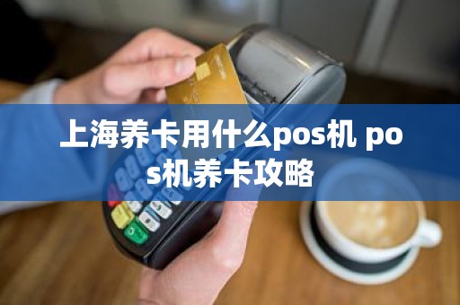 上海养卡用什么pos机 pos机养卡攻略