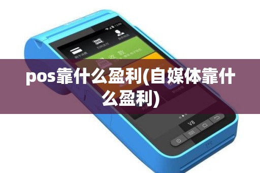 pos靠什么盈利(自媒体靠什么盈利)